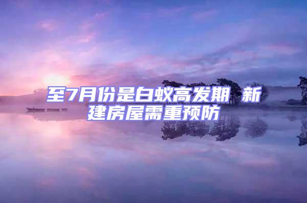 至7月份是白蟻高發期 新建房屋需重預防