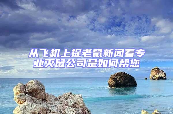 從飛機上捉老鼠新聞看專業滅鼠公司是如何幫您