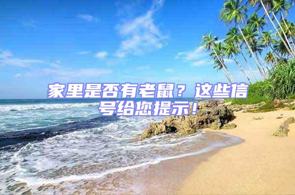 家里是否有老鼠？這些信號給您提示！