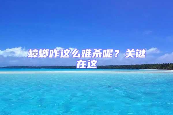 蟑螂咋這么難殺呢？關鍵在這