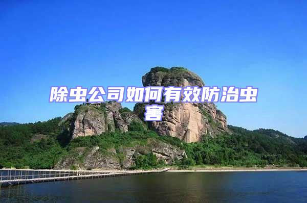 除蟲公司如何有效防治蟲害