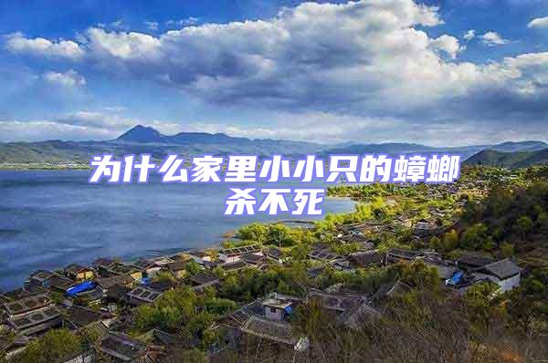 為什么家里小小只的蟑螂殺不死