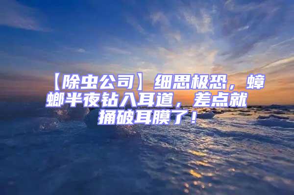 【除蟲公司】細思極恐，蟑螂半夜鉆入耳道，差點就捅破耳膜了！