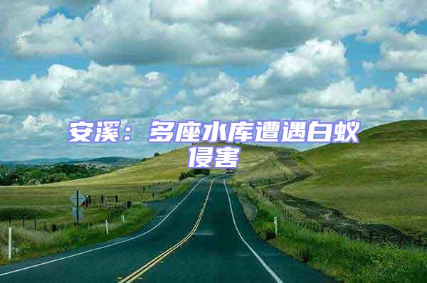 安溪：多座水庫遭遇白蟻侵害
