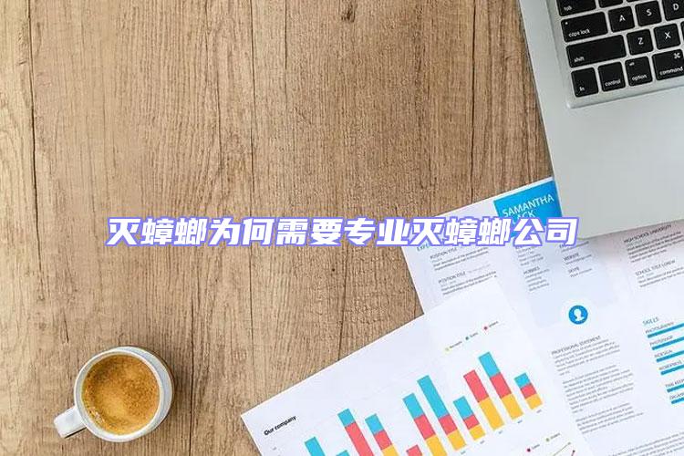 滅蟑螂為何需要專業滅蟑螂公司