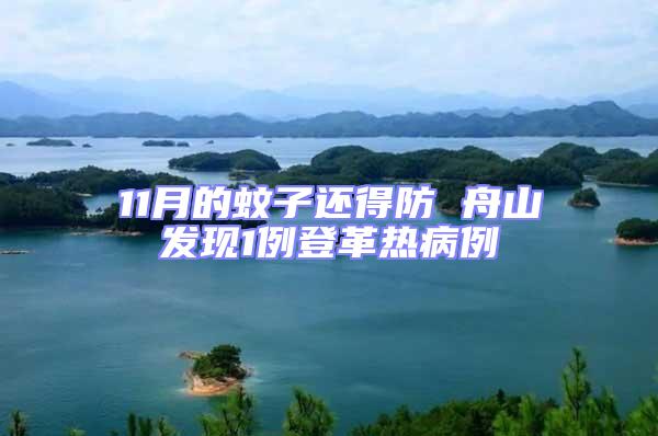 11月的蚊子還得防 舟山發現1例登革熱病例