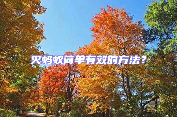 滅螞蟻簡單有效的方法？