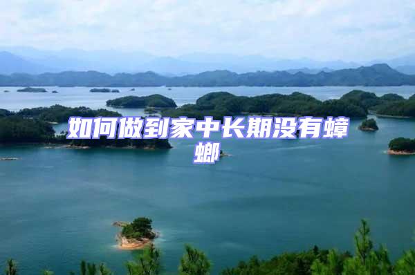 如何做到家中長期沒有蟑螂