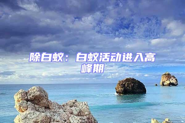除白蟻：白蟻活動進入高峰期