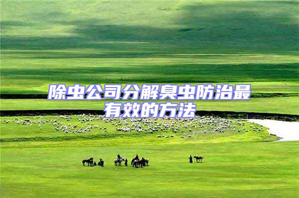 除蟲公司分解臭蟲防治最有效的方法