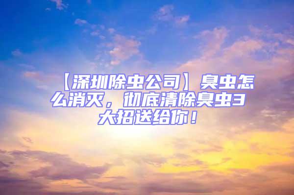 【深圳除蟲公司】臭蟲怎么消滅，徹底清除臭蟲3大招送給你！