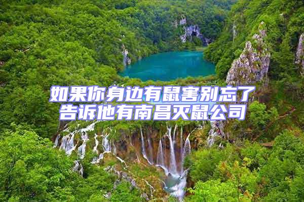 如果你身邊有鼠害別忘了告訴他有南昌滅鼠公司