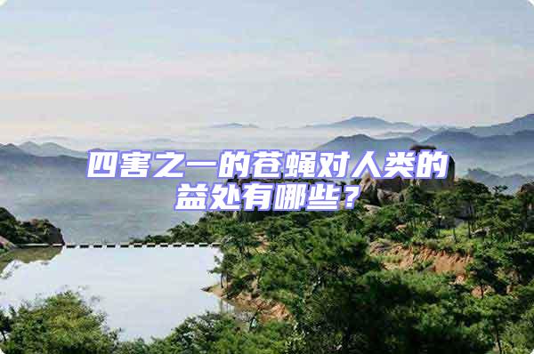 四害之一的蒼蠅對人類的益處有哪些？