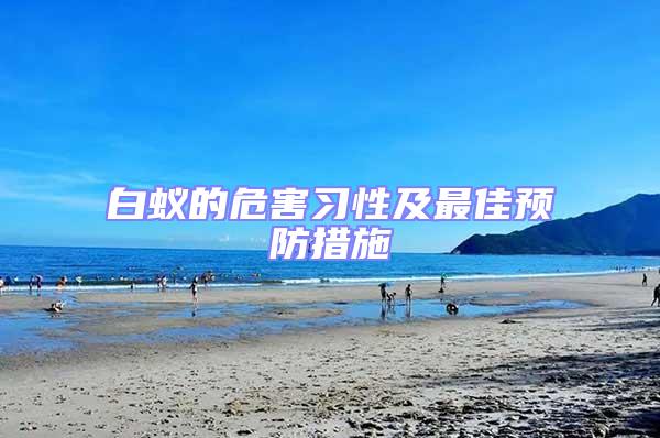 白蟻的危害習性及最佳預防措施