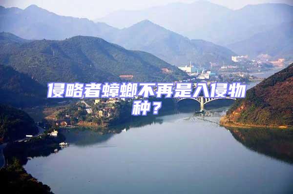侵略者蟑螂不再是入侵物種？
