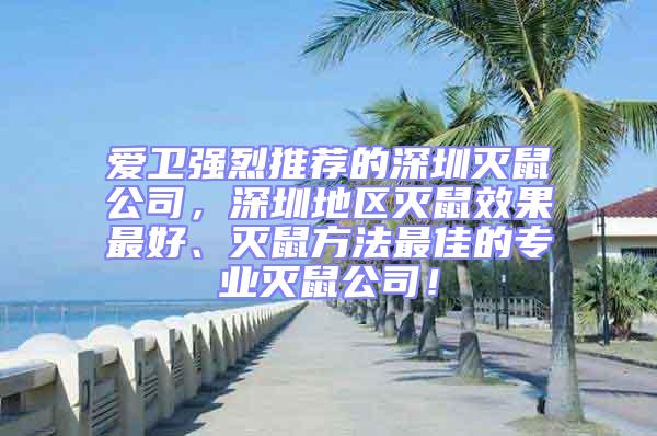 愛衛強烈推薦的深圳滅鼠公司，深圳地區滅鼠效果最好、滅鼠方法最佳的專業滅鼠公司！