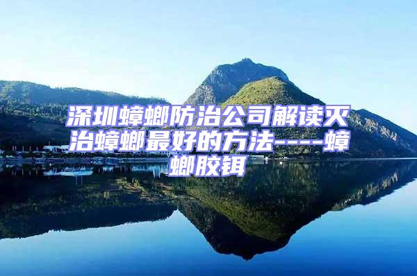 深圳蟑螂防治公司解讀滅治蟑螂最好的方法----蟑螂膠鉺