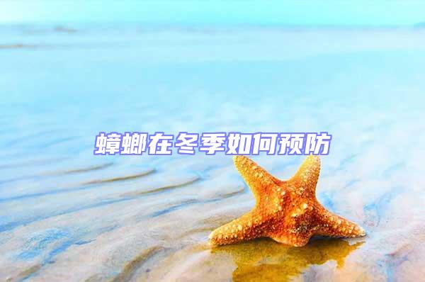 蟑螂在冬季如何預防