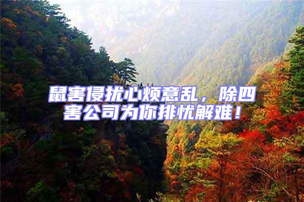 鼠害侵擾心煩意亂，除四害公司為你排憂解難！