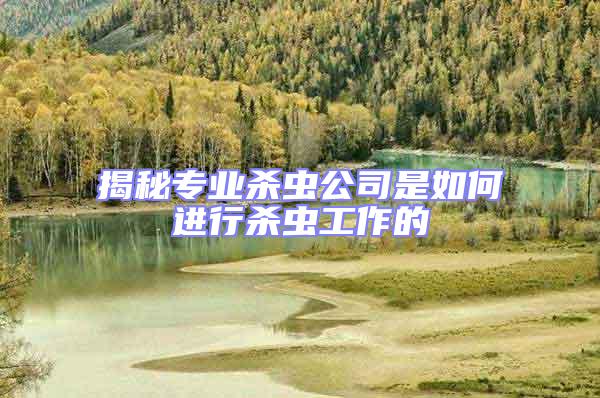 揭秘專業(yè)殺蟲公司是如何進(jìn)行殺蟲工作的
