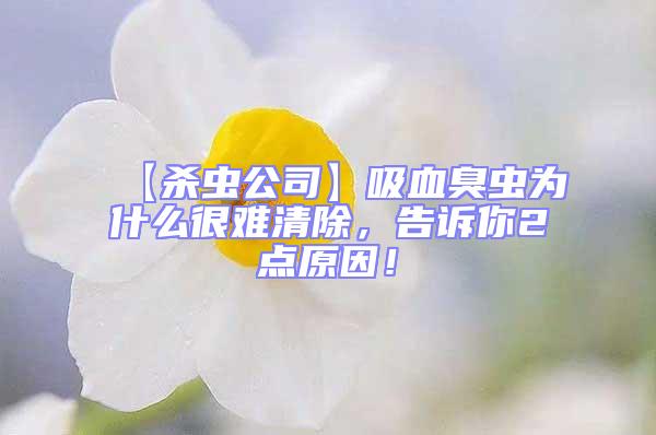 【殺蟲(chóng)公司】吸血臭蟲(chóng)為什么很難清除，告訴你2點(diǎn)原因！