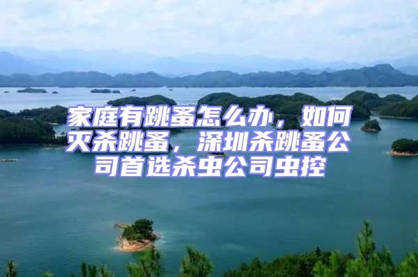 家庭有跳蚤怎么辦，如何滅殺跳蚤，深圳殺跳蚤公司首選殺蟲公司蟲控