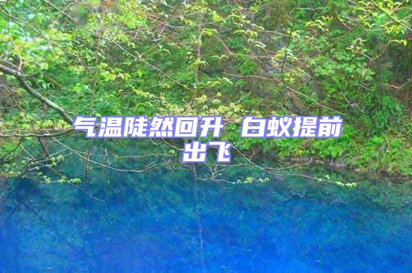 氣溫陡然回升 白蟻提前出飛