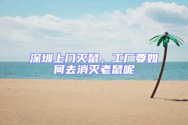 深圳上門滅鼠，工廠要如何去消滅老鼠呢