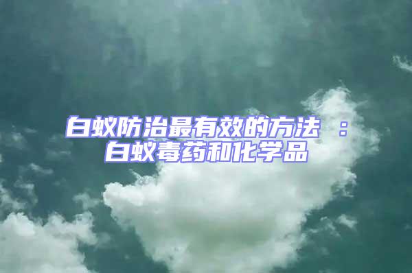 白蟻防治最有效的方法 ：白蟻毒藥和化學品