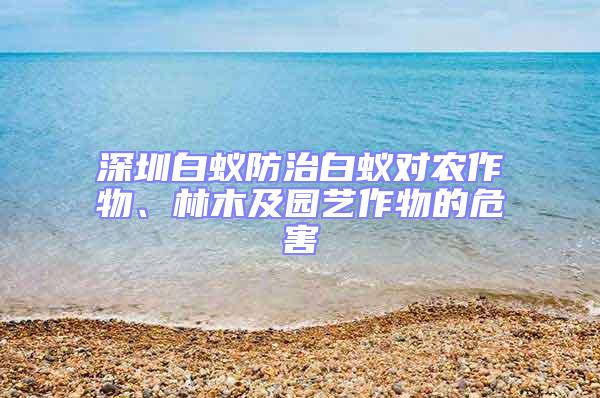深圳白蟻防治白蟻對農作物、林木及園藝作物的危害