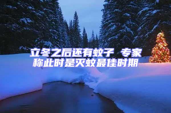 立冬之后還有蚊子 專家稱此時是滅蚊最佳時期