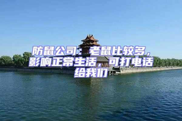 防鼠公司：老鼠比較多，影響正常生活，可打電話給我們