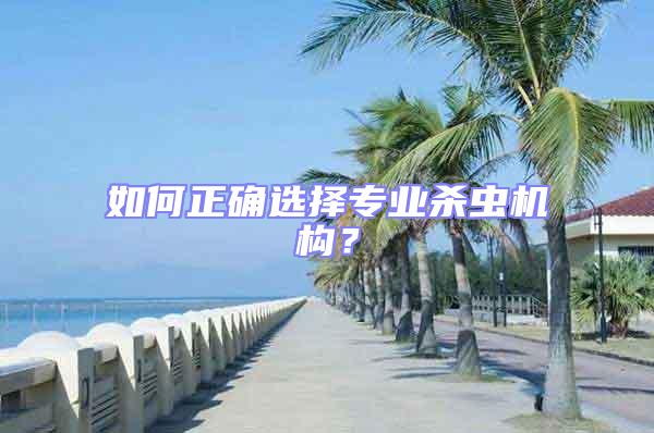 如何正確選擇專業殺蟲機構？