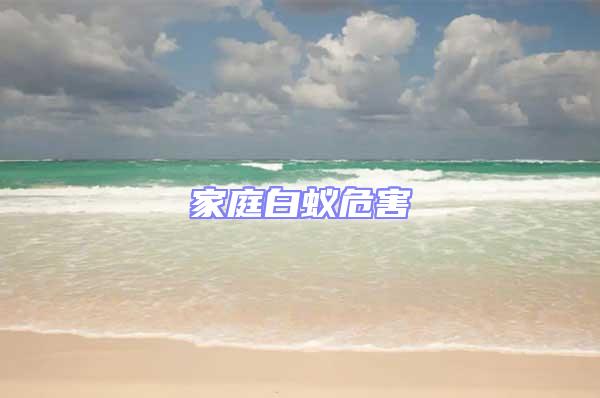 家庭白蟻危害