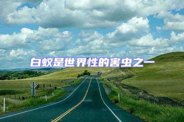 白蟻是世界性的害蟲之一