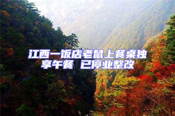 江西一飯店老鼠上餐桌獨享午餐 已停業整改