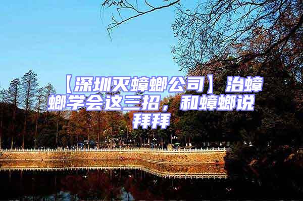 【深圳滅蟑螂公司】治蟑螂學會這三招，和蟑螂說拜拜