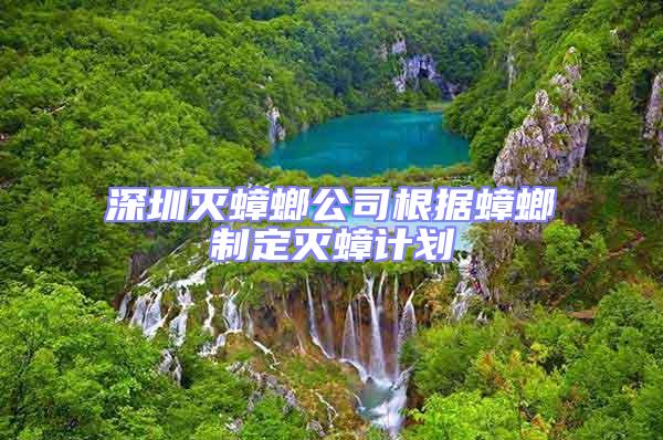 深圳滅蟑螂公司根據蟑螂制定滅蟑計劃