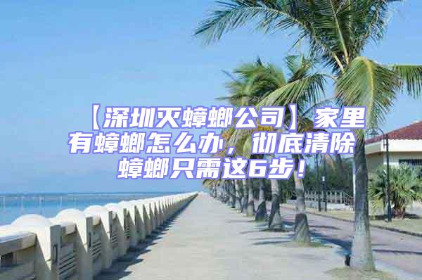 【深圳滅蟑螂公司】家里有蟑螂怎么辦，徹底清除蟑螂只需這6步！