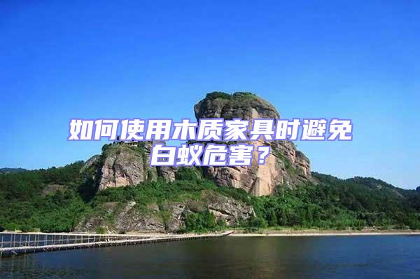 如何使用木質家具時避免白蟻危害？
