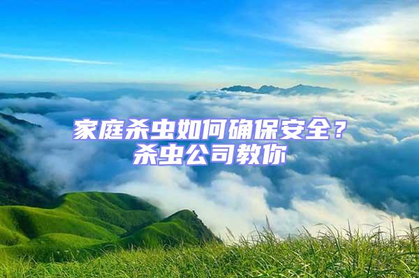 家庭殺蟲如何確保安全？殺蟲公司教你