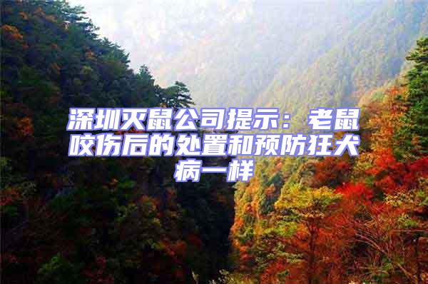 深圳滅鼠公司提示：老鼠咬傷后的處置和預防狂犬病一樣