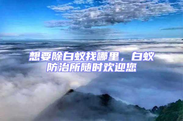 想要除白蟻找哪里，白蟻防治所隨時歡迎您