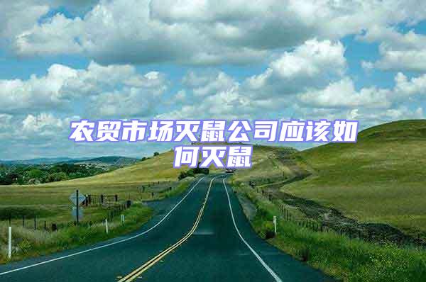 農(nóng)貿(mào)市場(chǎng)滅鼠公司應(yīng)該如何滅鼠