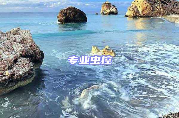 專業蟲控