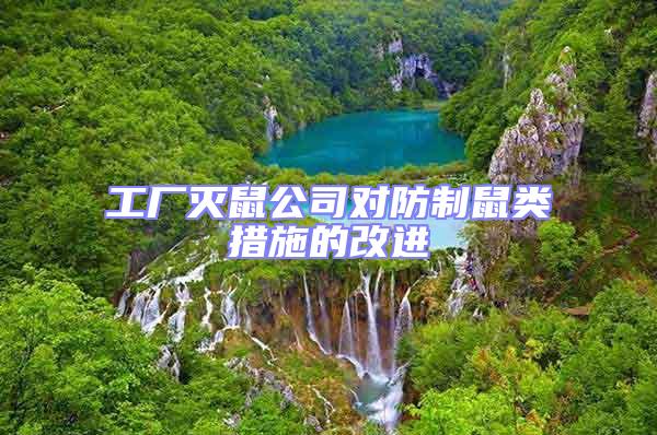 工廠滅鼠公司對防制鼠類措施的改進