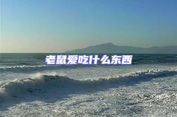 老鼠愛吃什么東西
