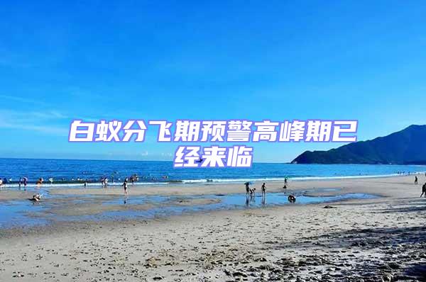 白蟻分飛期預警高峰期已經(jīng)來臨