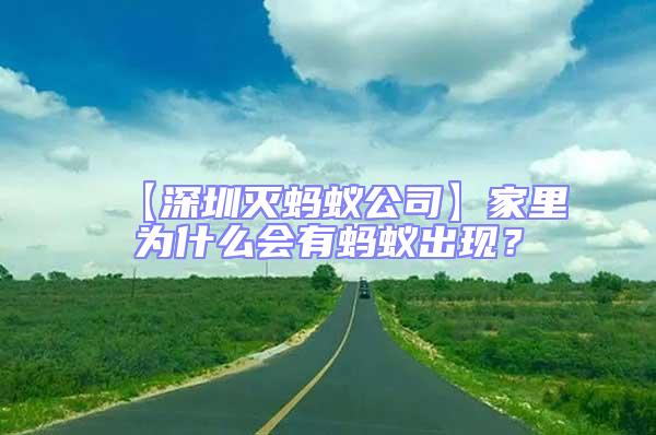 【深圳滅螞蟻公司】家里為什么會有螞蟻出現？