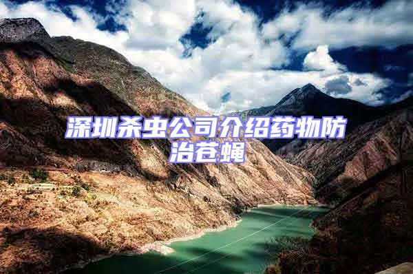 深圳殺蟲公司介紹藥物防治蒼蠅